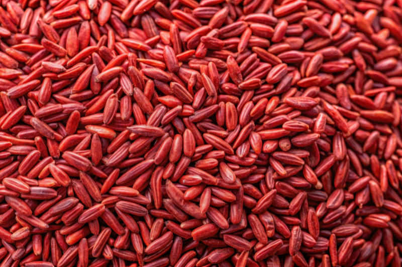 EU Monacolin K ban prompts ProBiotix Health to challenge brands to rethink cholesterol category innovation