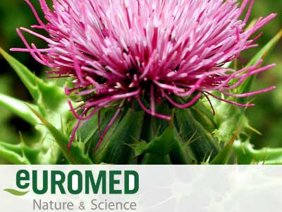 Euromed adopts milk thistle through ABC's Adopt-an-Herb programme
