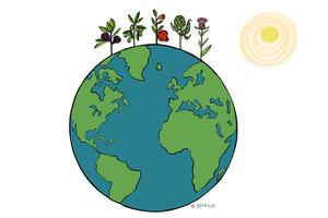 Euromed launches Earth Harmony Organic Extracts
