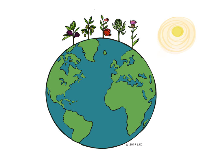 Euromed launches Earth Harmony Organic Extracts