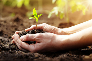 Euromed reaccredited with EcoVadis Platinum Medal for exceptional ESG performance