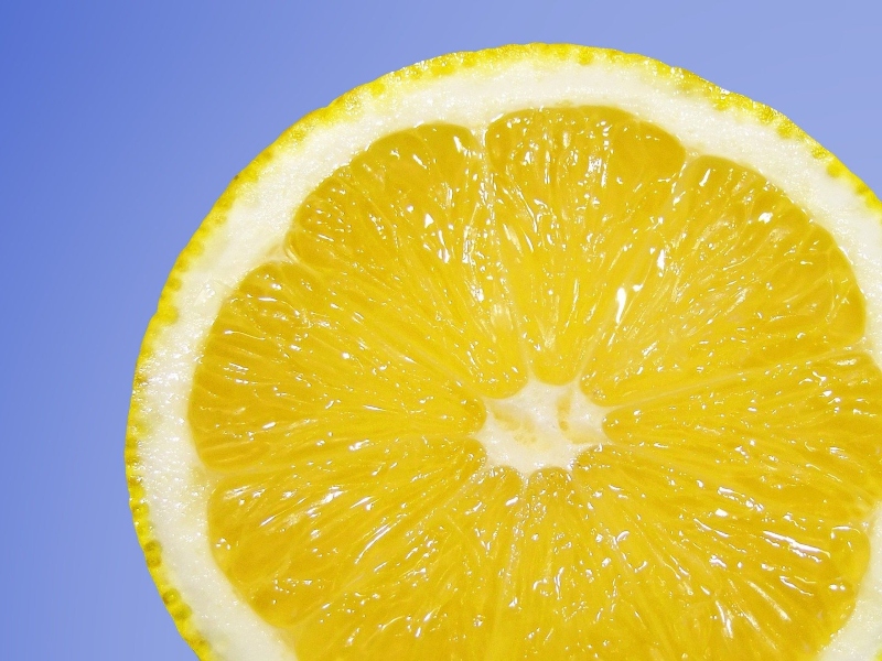 Euromed respond to consumer demand at SSW with botanical extracts