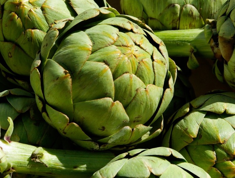 Euromed to present growing Mediterranean portfolio at Vitafoods Europe