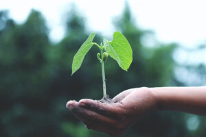 EverGrain introduces low emissions ingredient range