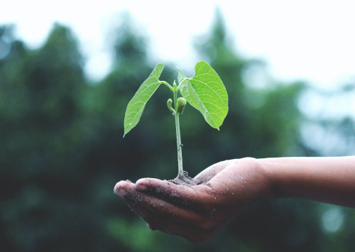 EverGrain introduces low emissions ingredient range