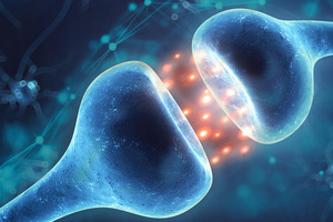 EVNol SupraBio benefits diabetic neuropathy subjects in RCT