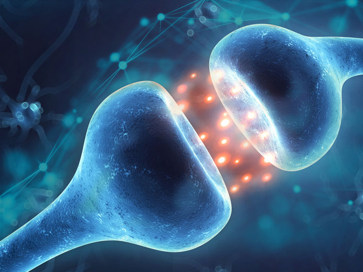 EVNol SupraBio benefits diabetic neuropathy subjects in RCT