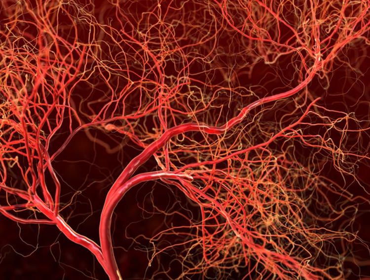 EVNol SupraBio decreases aspirin resistance in patients on blood thinning drugs
