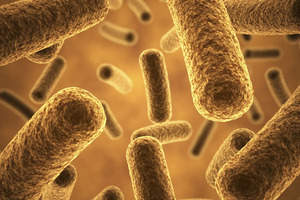 Evolve BioSystems partners with King's College London to resolve gut dysbiosis in C-section delivered infants