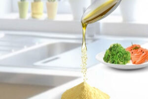 Evonik omega-3 powders approved in Brazil