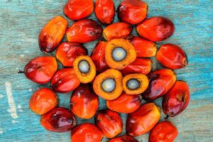 Excelvite reveals the effects of palm mixed-carotene on AMD