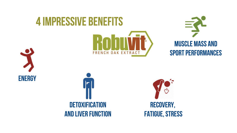 Exploring Robuvit’s mechanisms of action: part II