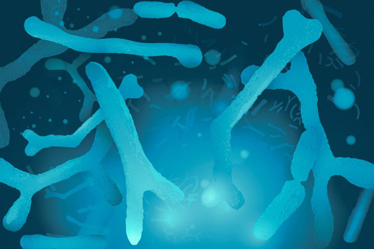 Exploring synbiotics as the future of the biotics category