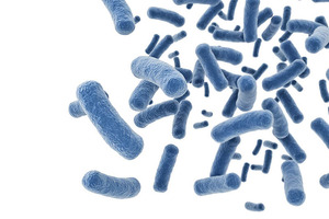 Exploring the potential of probiotics in the treatment of IBS
