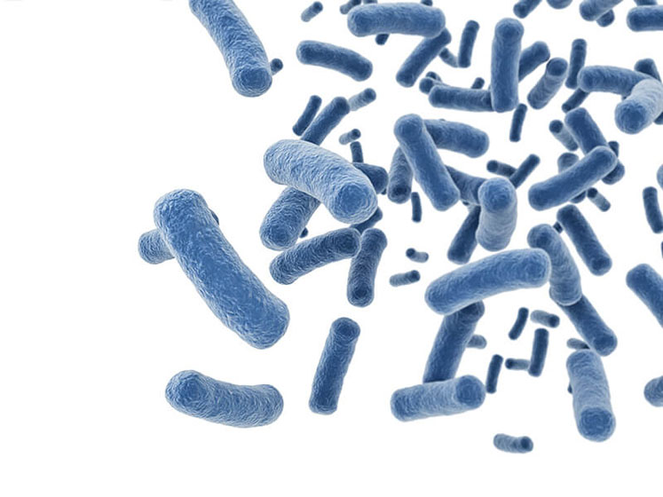 Exploring the potential of probiotics in the treatment of IBS
