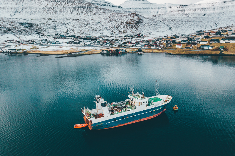 FAO rates 100% of Antarctic fish stocks sustainable, bolstering krill omega-3 sourcing credentials