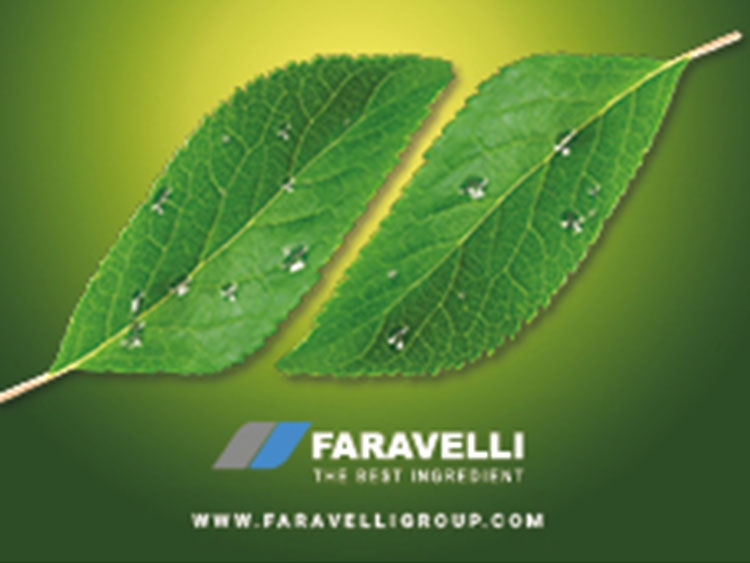 Faravelli Nutra Division to exhibit at SupplySide West 