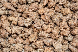 Farlong completes three year clinical trial on ginseng