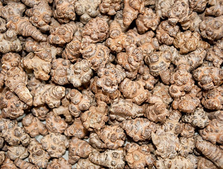 Farlong completes three year clinical trial on ginseng