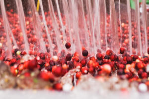FDA authorises qualified health claim for cranberry supplements