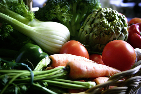 Female diet alters the nutrient composition of fluid in the womb