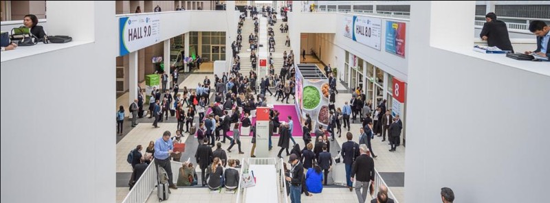 Fi Europe and Hi Europe enter a new chapter together