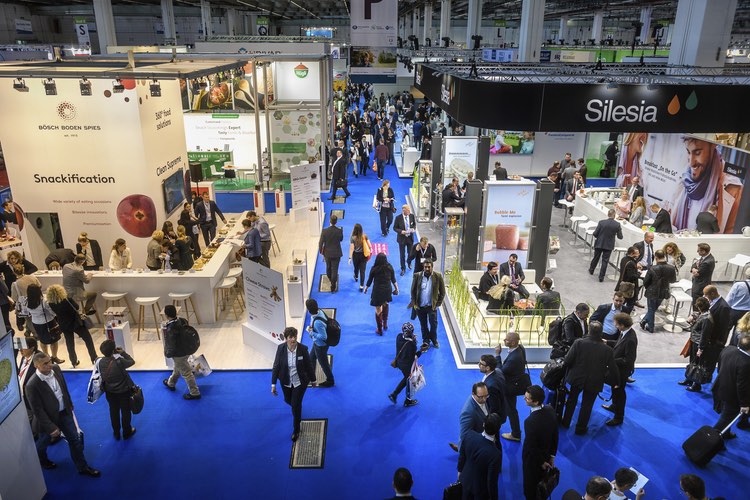 Fi Europe & Ni returns to Paris