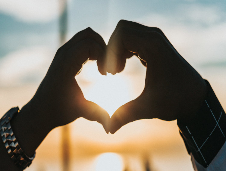 Fibre fortification could lower adult heart disease risk