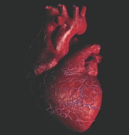 Fighting for healthier hearts