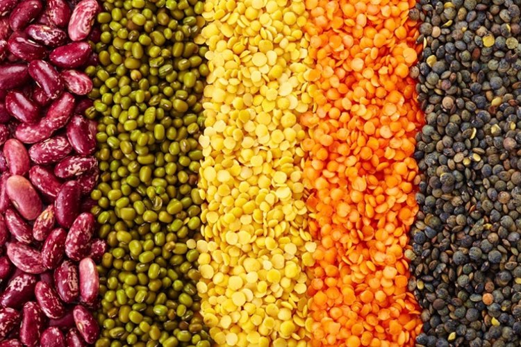 Firmenich introduces plant-based Smart Protein solutions