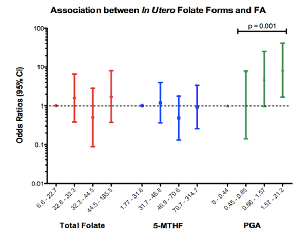 Folic acid in foods may be connected to the development of food allergies