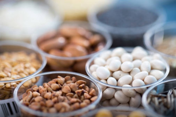 Food safety plans: risk based preventive controls