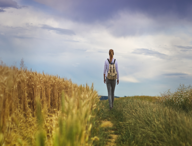 FrieslandCampina launches Biotis immune health range