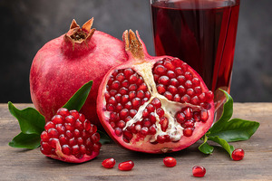 From people to pets: Euromed extends Mediterranean and milk thistle extract expertise to animal nutrition at SupplySide Global 2026