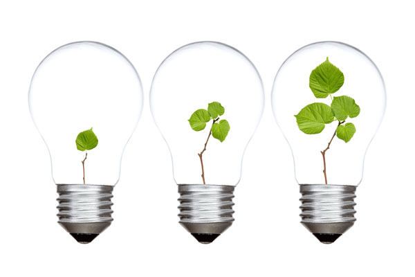 Frutarom Health increases phytopharmaceutical capacity
