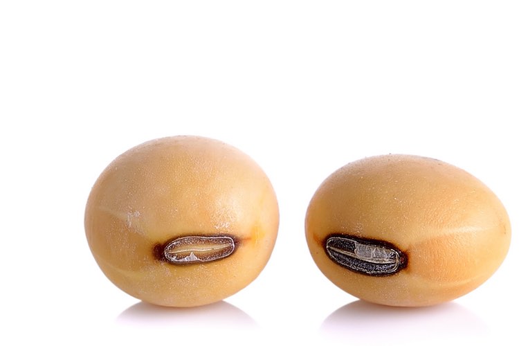 Frutarom SoyLife range goes organic