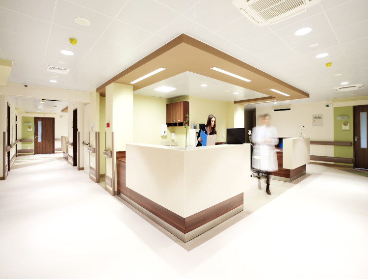 Fucoidan demonstrates wound healing benefits