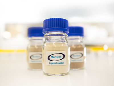 Fucoidan for the future