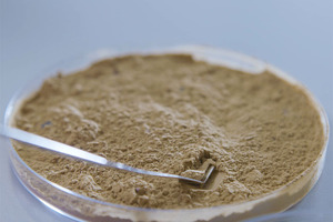 Fucoidan: preliminary results from marine bioactive show exciting potential to support gut and heart health