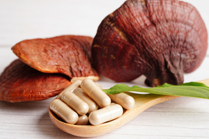 Functional mushroom biotech KÄÄPÄ bags €900k investment to scale operations