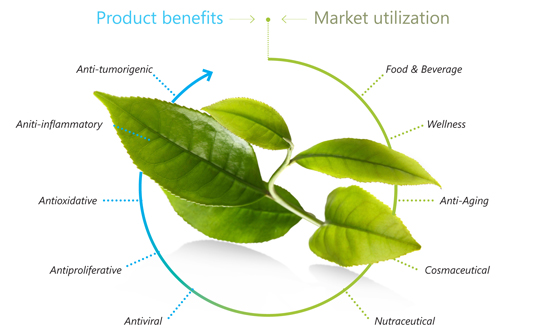 Further research on Phytofare and diabetes