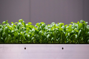 Future Crops announces Tencent led investment round