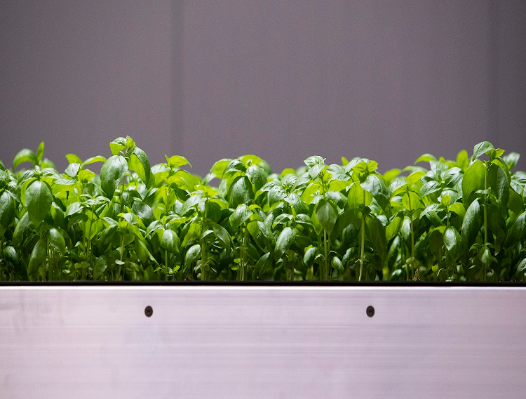 Future Crops announces Tencent led investment round