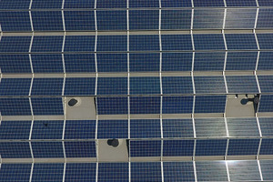 Future Crops moves to 100% renewable energy
