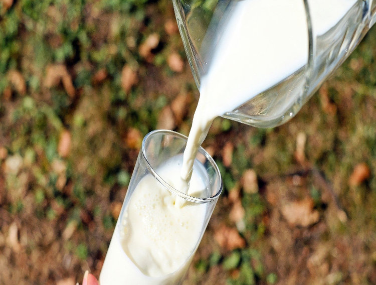 Gadot Biochemical emphasises magnesium production for fortified milks