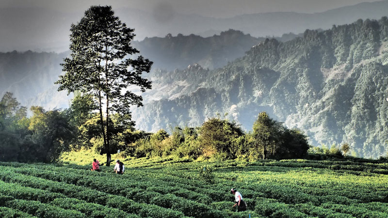Gaining trust through traceability, transparency and testing