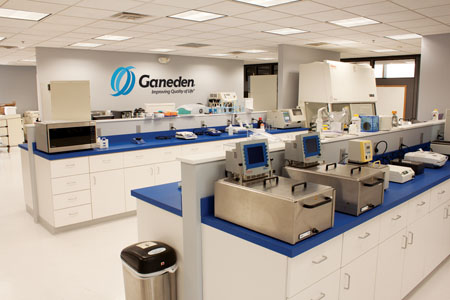 GanedenBC30 enhances protein utilisation and vitamin/mineral absorption