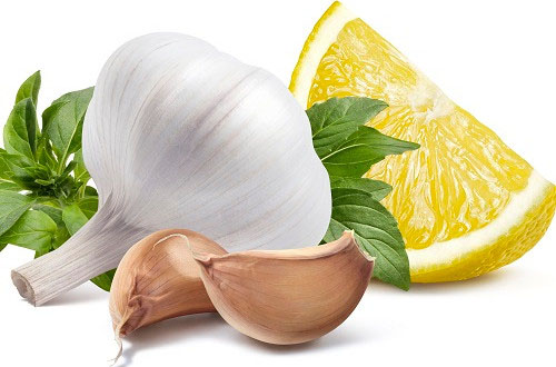 Garlic and lemon juice improve lipid profiles