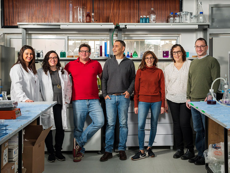 Gavan develops zero-waste plant protein extraction 
