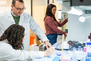 Gavan's plant-based fat matrix boosts baked goods sensory experience